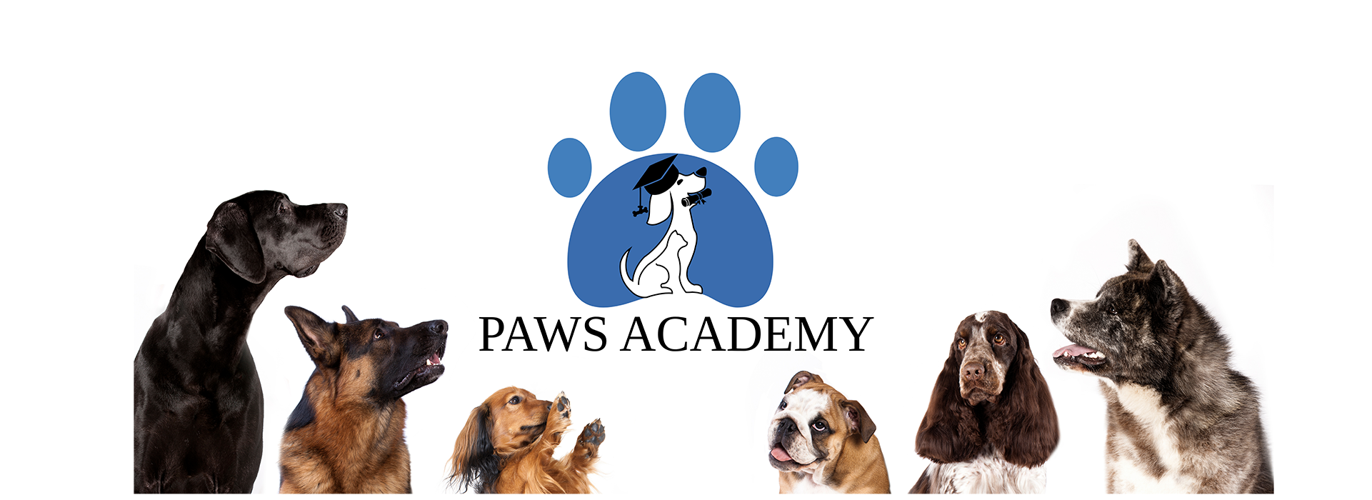 Paws Academy