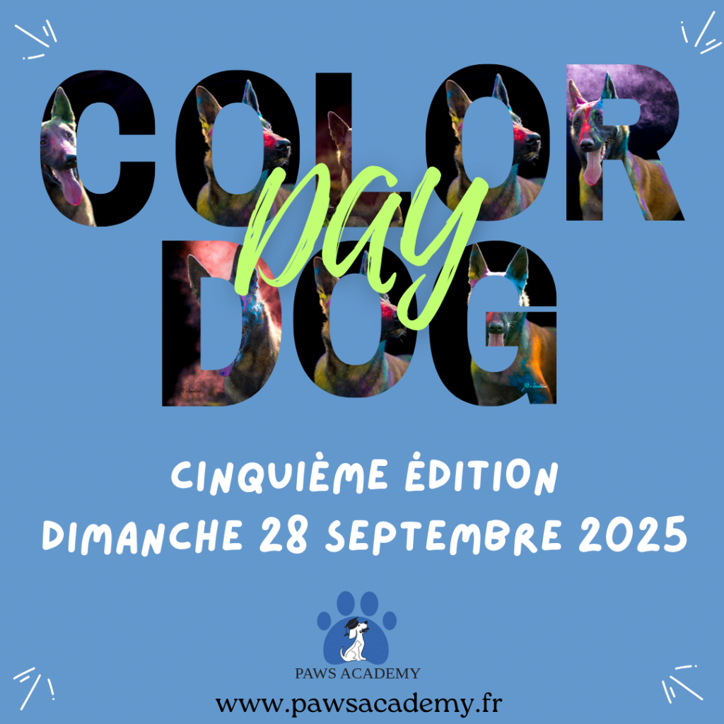 Color Dog Day - Shooting photo coloré pour chiot et chien le dimanche 28 septembre 2025 au centre d'éducation canine Paws Academy de Fontenay-Trésigny en Seine et Marne (77)