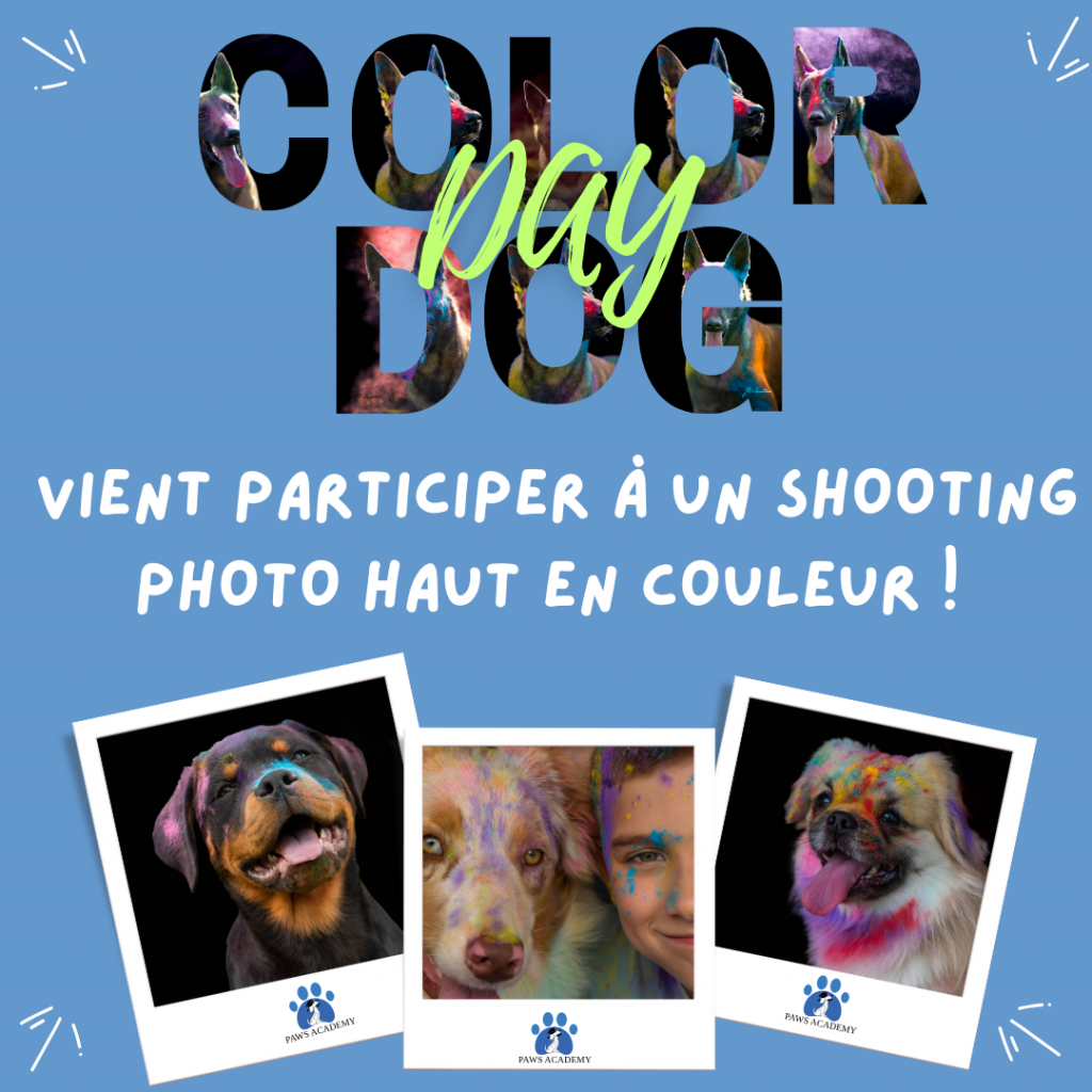 Color Dog Day - Shooting photo coloré pour chiot et chien le dimanche 28 septembre 2025 au centre d'éducation canine Paws Academy de Fontenay-Trésigny en Seine et Marne (77)