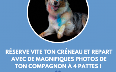 Color Dog Day : shooting photo coloré pour chiot et chien – cinquième édition