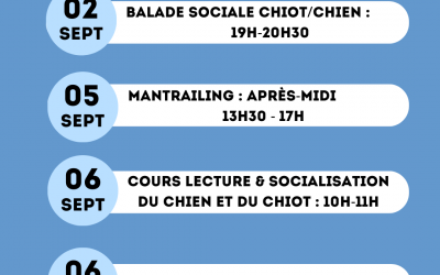 Centre d’éducation canine PAWS ACADEMY – Activités de septembre 2025