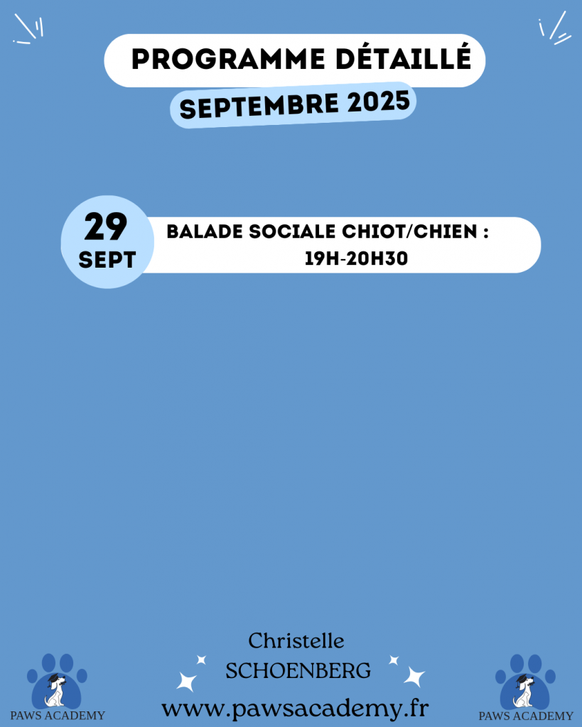 Planning des activités du mois de septembre 2025 au centre d'éducation Paws Academy situé à Fontenay-Trésigny en Seine et Marne