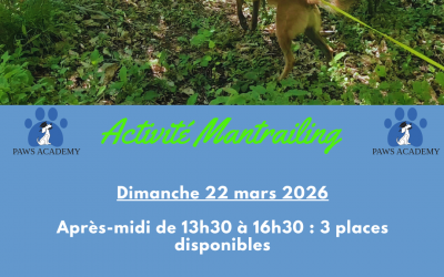 Dimanche 22 mars 2026 : Activité mantrailing à la Paws Academy