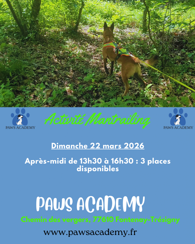 DIMANCHE 22 MARS 2026 Mantrailing