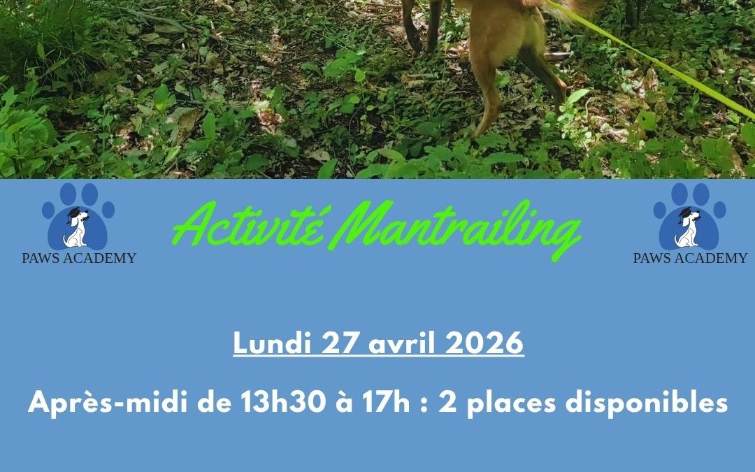 Lundi 27 avril 2026 Mantrailing