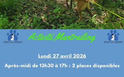 Activité Mantrailing – Lundi 27 avril 2026 après-midi
