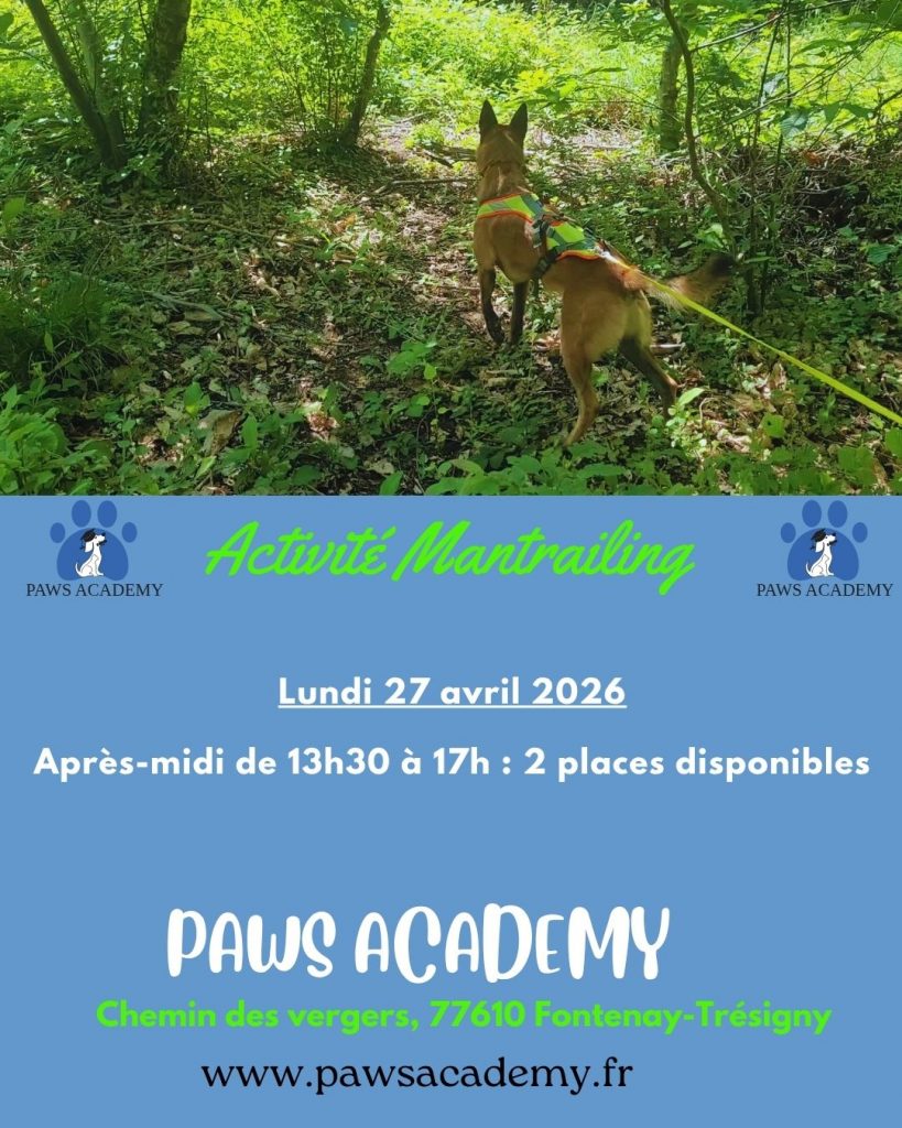 Lundi 27 avril 2026 Mantrailing