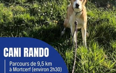 Samedi 20 juin 2026 : Cani-Rando en collaboration avec la Communauté de Commune du Val Briard
