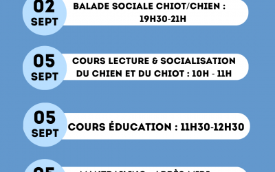 Planning activités chiot et chien septembre 2026 | PAWS ACADEMY
