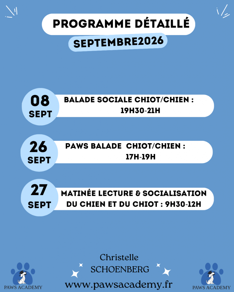 Planning des activités de Paws Academy en septembre 2026 du 8 septembre au 27 septembre 2026